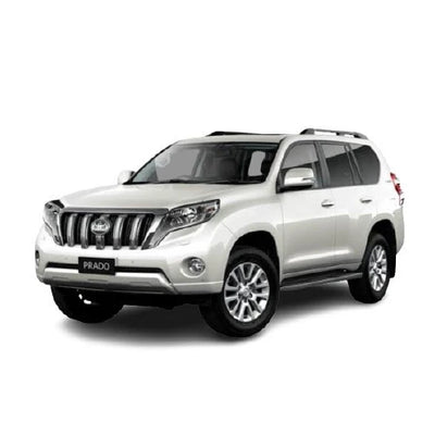 Prado 2017-2019